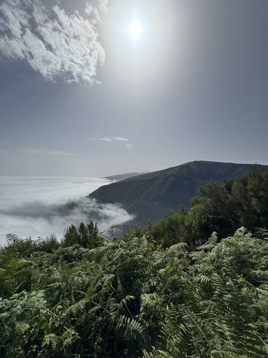 🤙🤙 tweet media