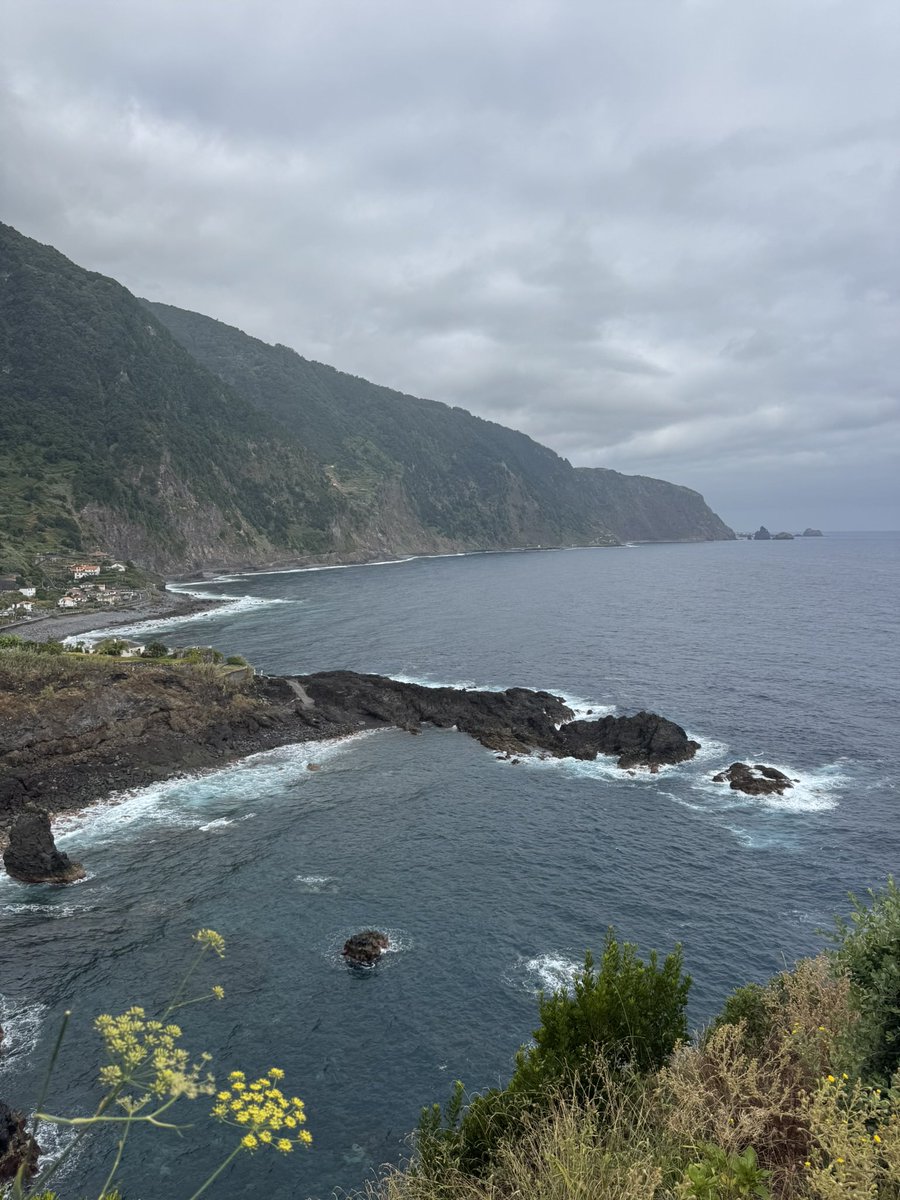 🤙🤙 tweet media