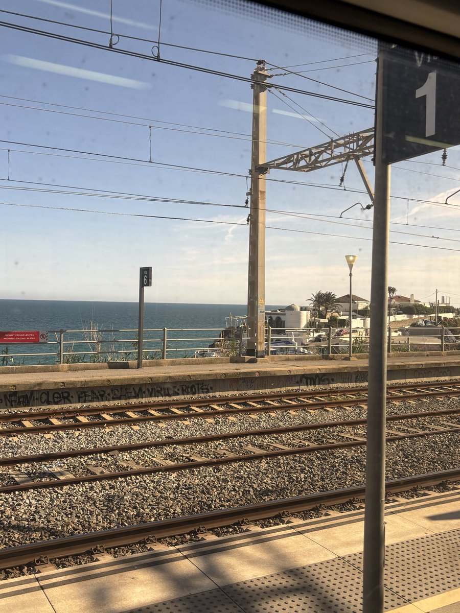 Lluis Navarrete tweet media