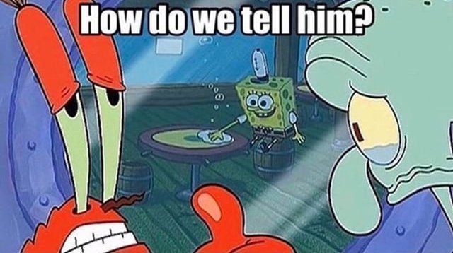 Ⓐ maconha aranha 🜬 tweet media