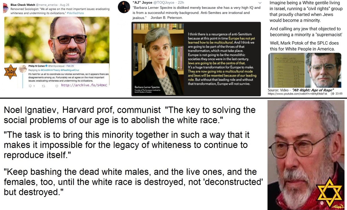 warewars tweet media