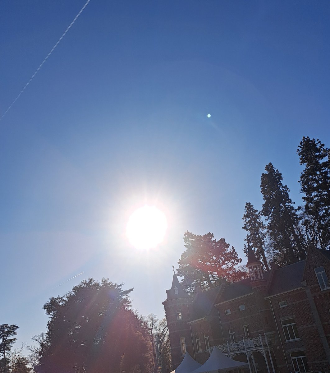 ₑₘcᵢₑ ✨️ tweet media