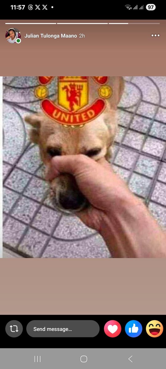 Taurus Man tweet media