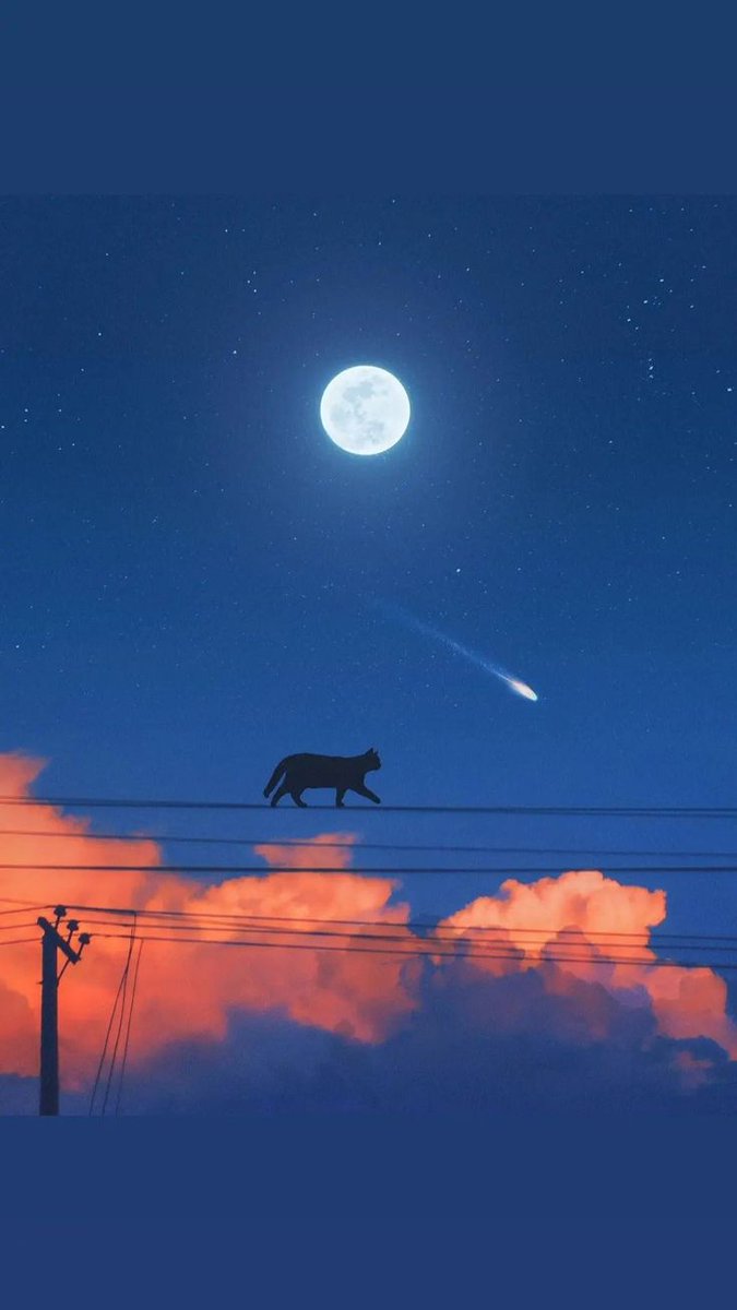 Intresting nature 🌿🪐 tweet media