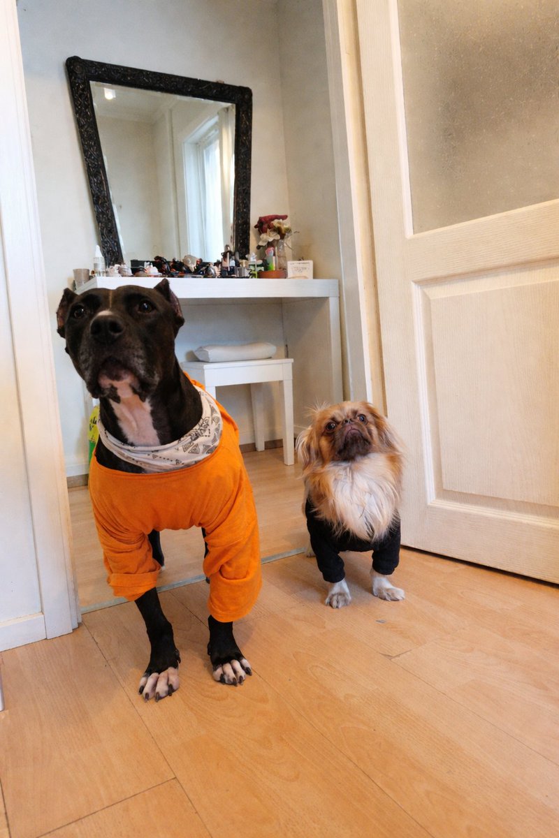 Evakuş 🌸 tweet media