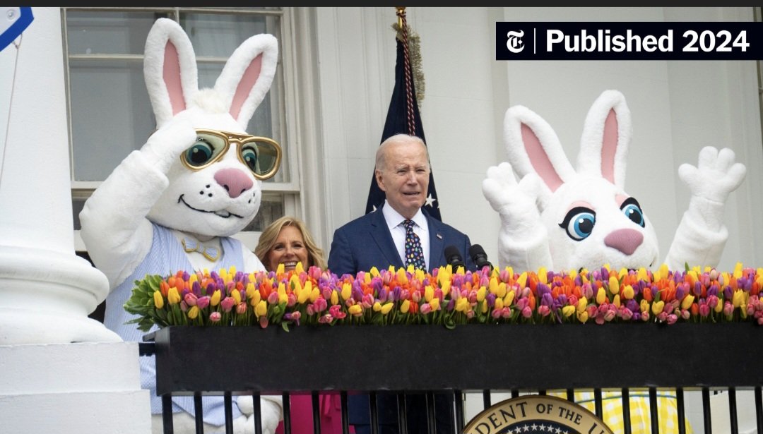 al stevo tweet media