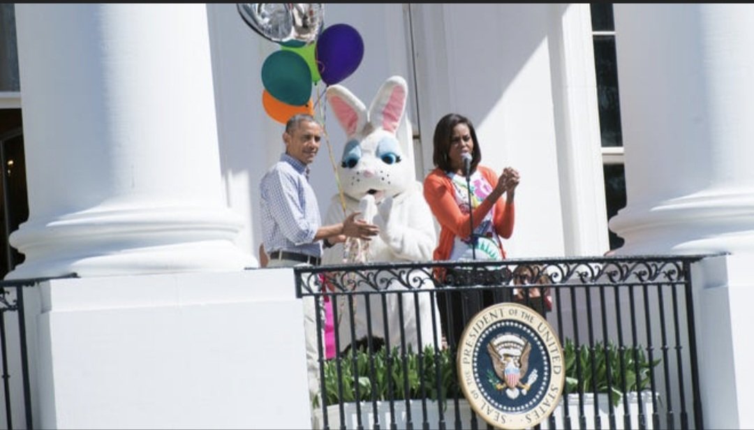 al stevo tweet media