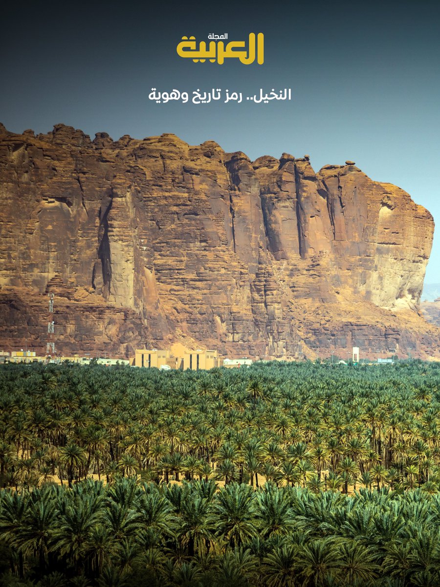 Arabic_Mag's tweet photo. عدد أبريل 2026، أبرز العناوين:
📂 ملف العدد: #معارض_الكتاب 
◀️ فاروق حسني: السعودية ثقافة متجددة
◀️ ⁠ما لا يستطيعه الذكاء الصناعي
◀️ السموم في أدب الغموض
🖌 بورتريه العدد: معجب العدواني (أكاديمي وناقد)  
@Mageb_Aladwani 
🖼️صورة الغلاف: النخيل.. رمز تاريخ وهوية
⬇  #المجلة_العربية 
https://t.co/v4rh4AEIPE

=