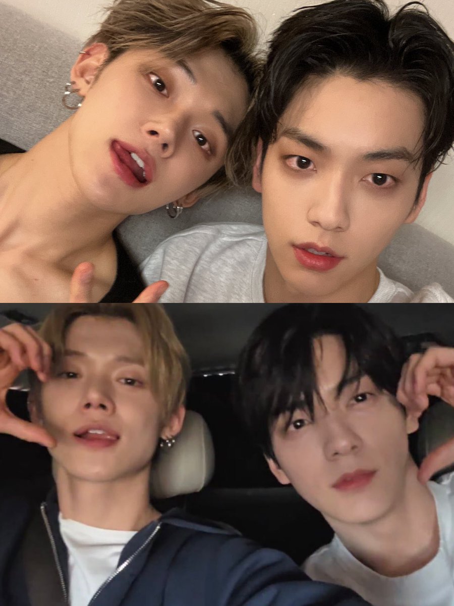 pi🏡❤️🩹 tweet media