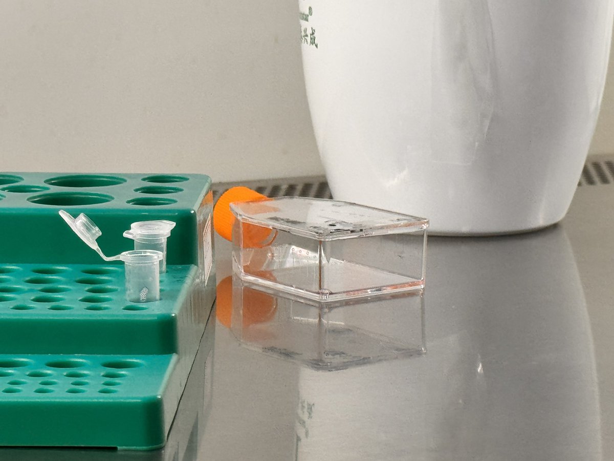 饮茶YinCha tweet media