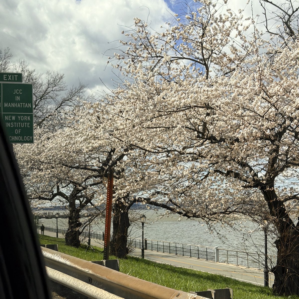 火炭麗琪 tweet media