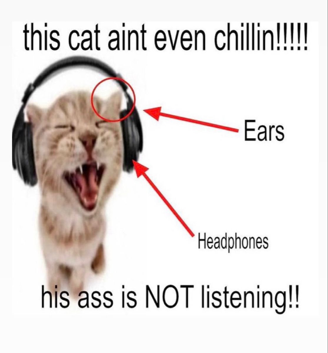 timely pavkin 🎃 tweet media