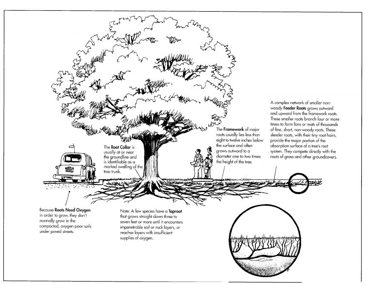 André Arthur Live du Paradis ✨ tweet media