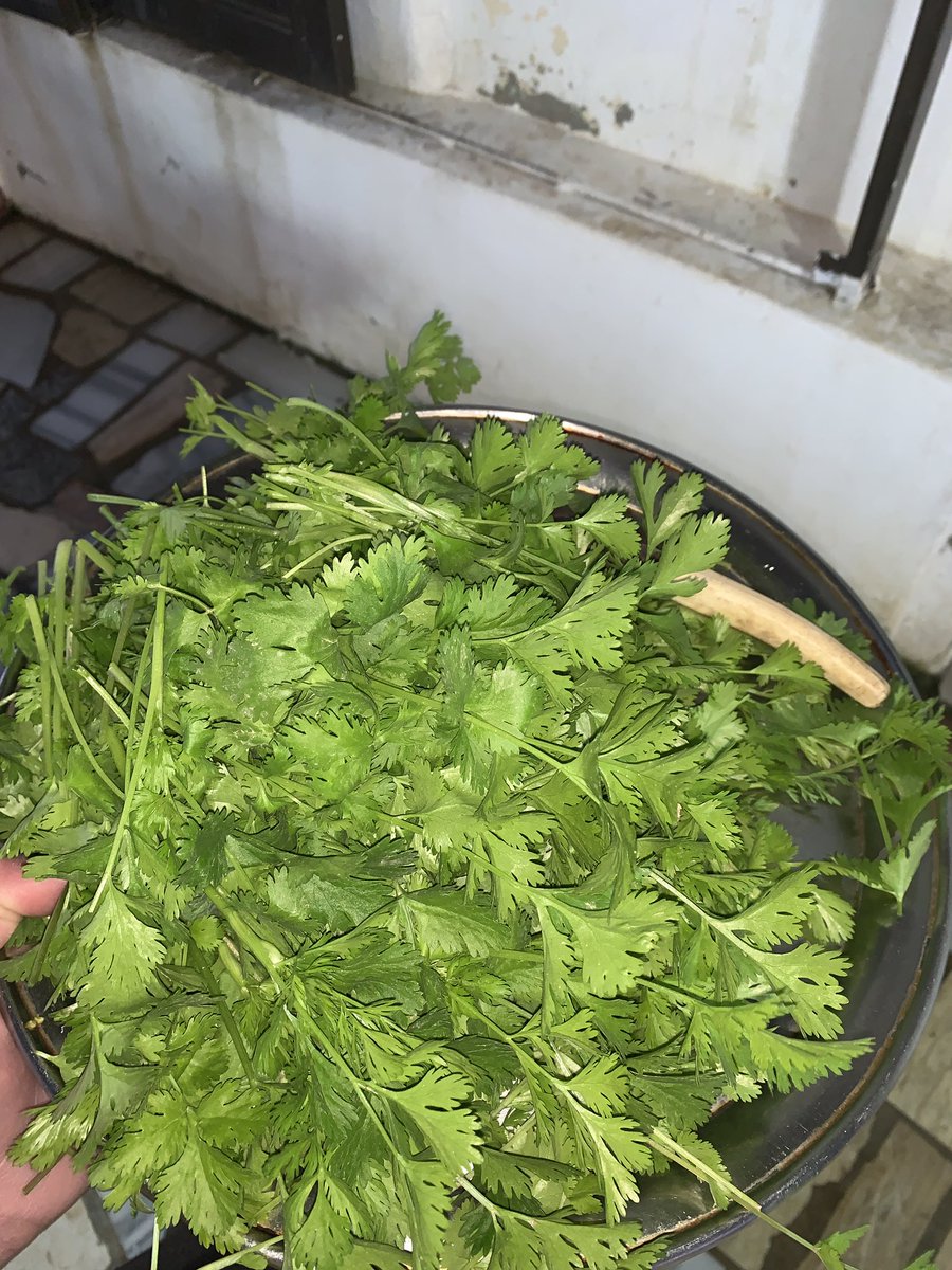 Abdulrahman tweet media