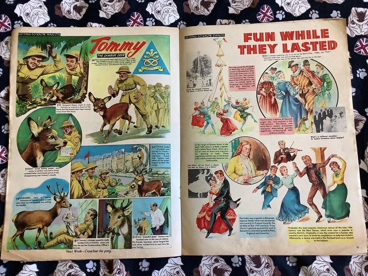 WatsonsVintage's tweet photo. NEW LISTING - A Fun and Nostalgic #giftforher VERY RARE Vintage 18th January 1964 'Diana For Girls' Comic - Packed full of Comic Strip and Short Stories, Articles etc - Missing Top Staple https://t.co/OyxDNjZVAu via @Etsy #VintageComics #DianaForGirls #1964Gift #NorthStaffs https://t.co/JOq0jLDd30