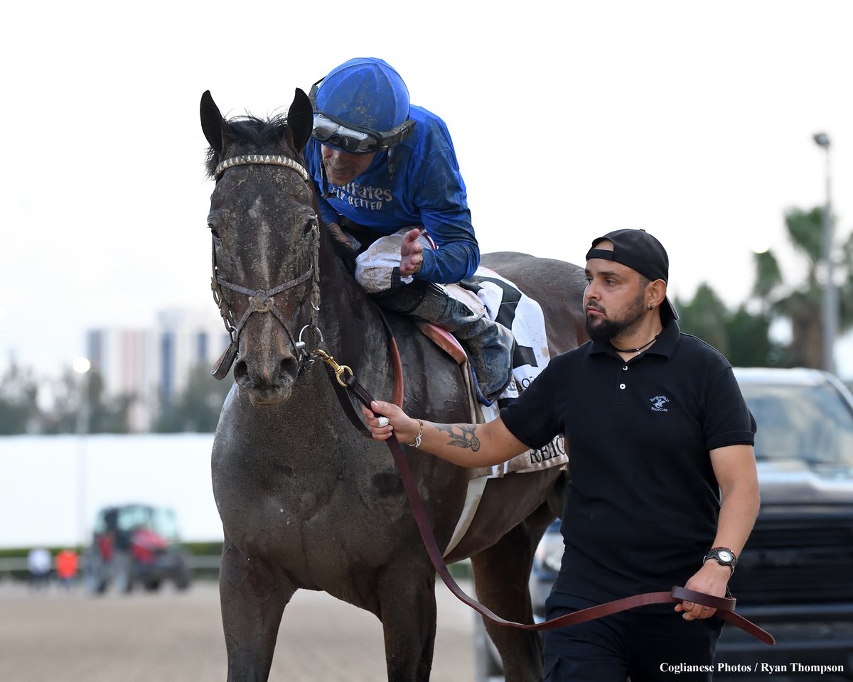 sdhorserace tweet media