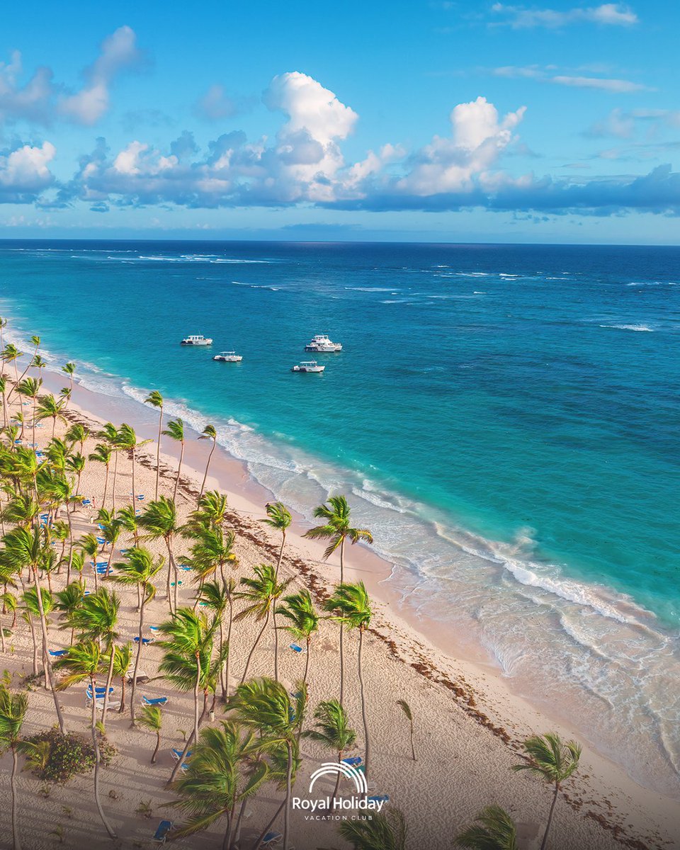 RoyalHoliday's tweet photo. Palm trees, turquoise sea, and days without a schedule. 🌴

That’s what Punta Cana feels like when you choose right. ✨

Discover it at Grand Bavaro Princess with Royal Holiday.

🔗 Link in our profile https://t.co/jFtiuCXO9f