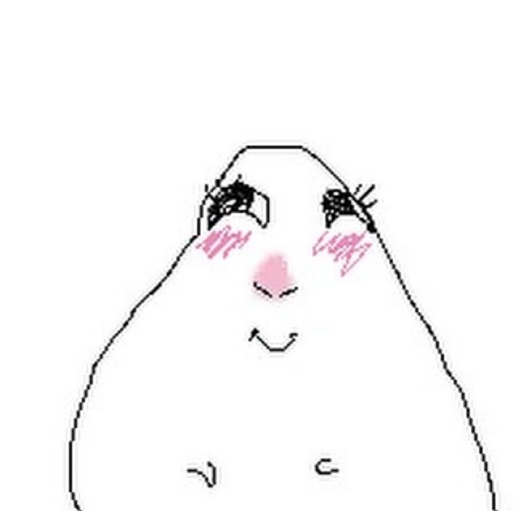 berthe レイラ🦋 tweet media