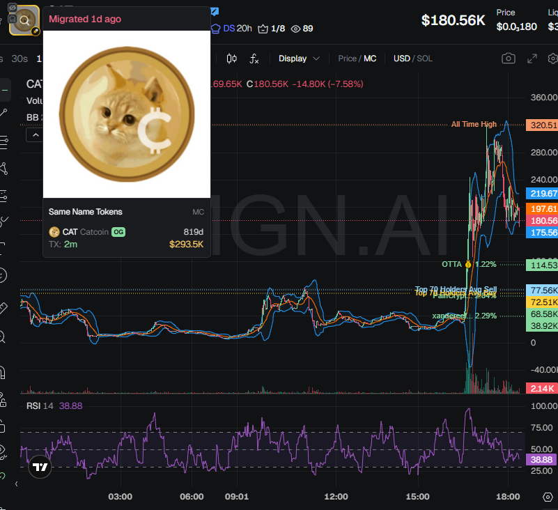 badattrading_'s tweet image. $CAT (CA HzrKQBgrAXyhNAs8Tgy4ZjvHoE9DKPaYw96zZkUpYwav) can't be analyzed with devsnightmare. Bullie, kaythedoc, Pain, Xander, usernametaken, OTTA, breadmakr are top holders.

A cluster linked to Bullie has 3.4% on the bubblemap. CEX map cluster has 70.5%. Binance funded wallets