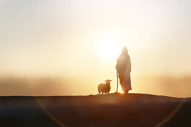 Tu esfuerzo no es en vano. Dios ve tu corazón y Su gracia te sostendrá hasta ver la victoria. ¡Sigue adelante!