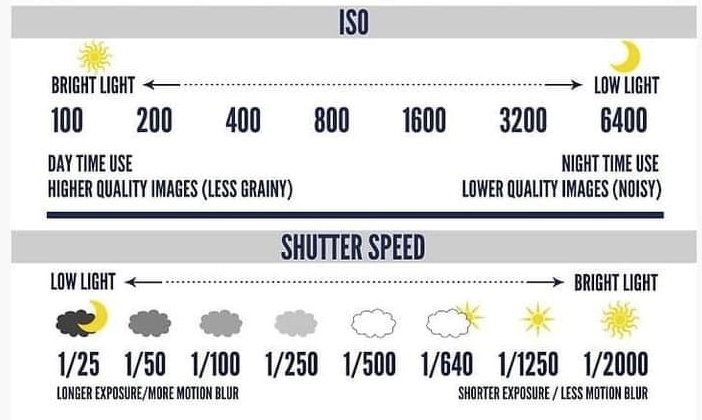 USA Gold Dragon tweet media