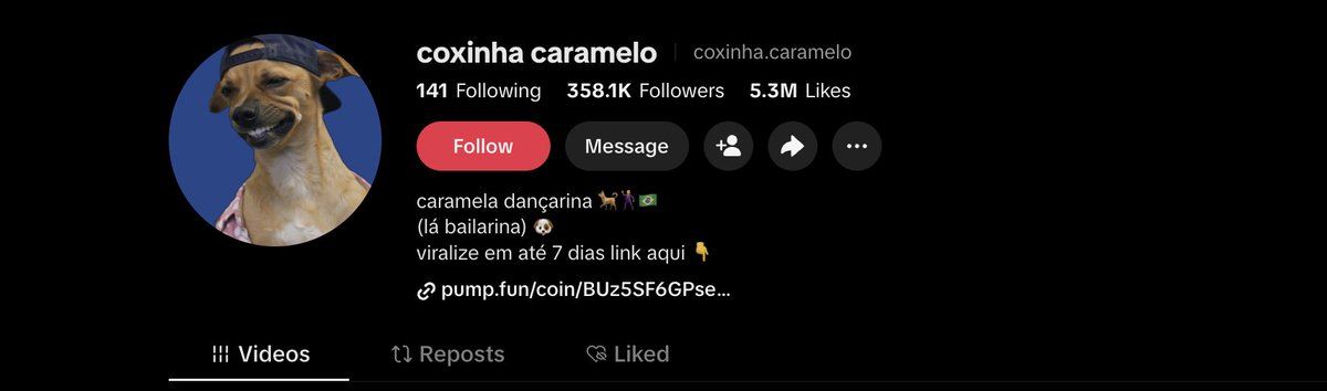 CarameloCoxina's tweet photo. https://t.co/jd6k4qSapY

hey guys, take a look! $caramelo 

Thank you for believing, only up from here! Love from the owner too he is so excited to join us now, and will be making an entrance later too in the community https://t.co/016OkjMvqN