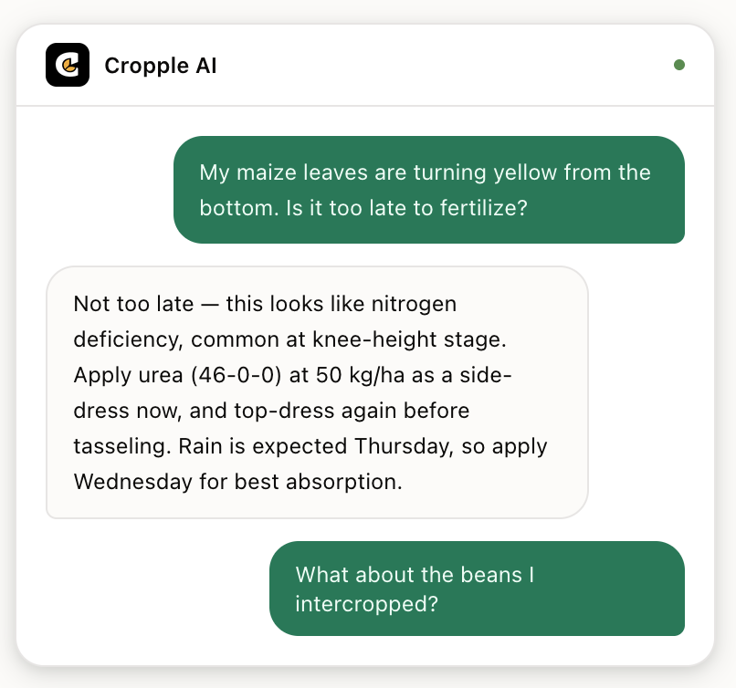 CroppleAI's tweet photo. Meet your farm's new best friend. 🌾🛰️

Satellite crop monitoring. AI disease diagnosis. Weather spray windows. Financial tracking. Livestock management. Crop calendar.

Everything a farmer needs — in one app.

👉 Start free at https://t.co/HDJXAtzBLe

#farm #farming https://t.co/KgaPUKKAKo