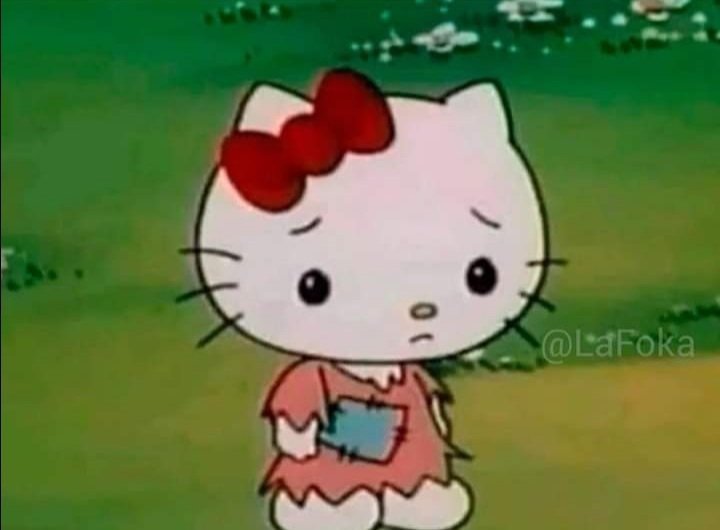 Paulina Momoa tweet media