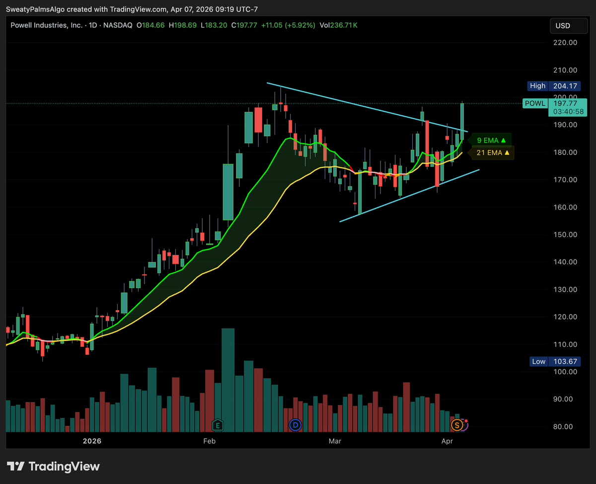 First Fellow tweet media