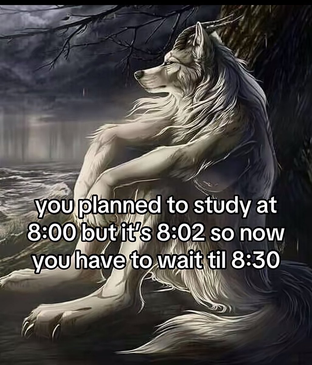 منصور tweet media