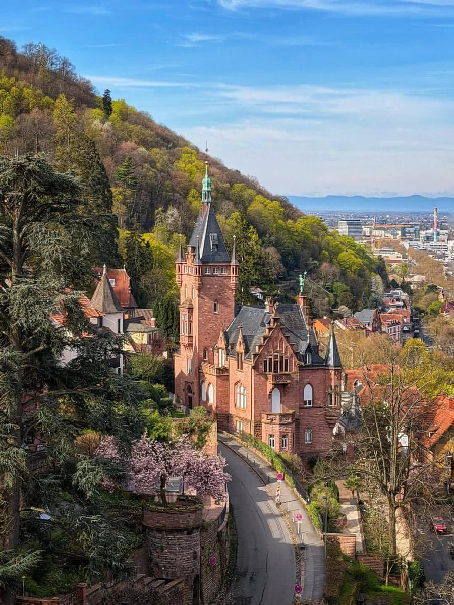 WanderLens tweet media