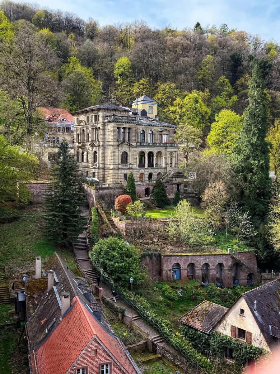 WanderLens tweet media