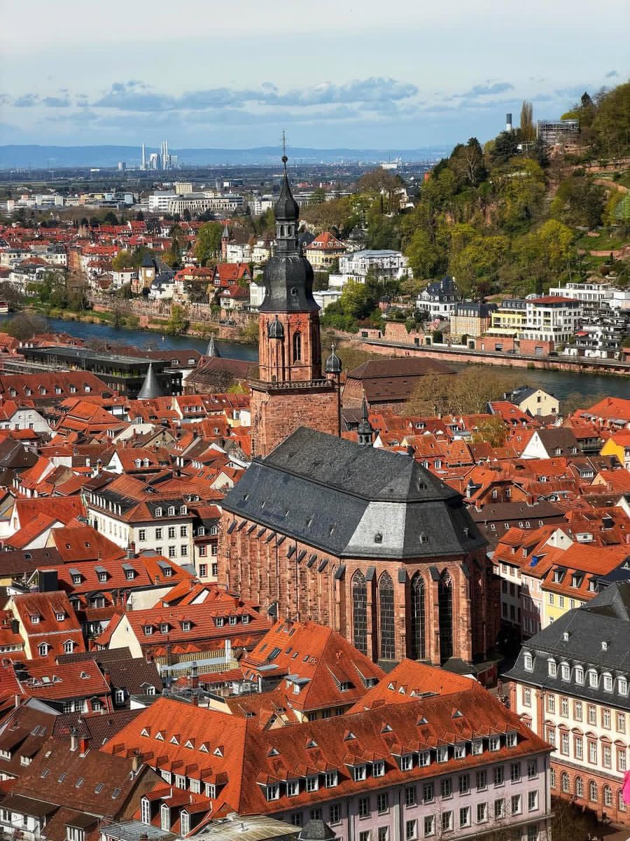 WanderLens tweet media