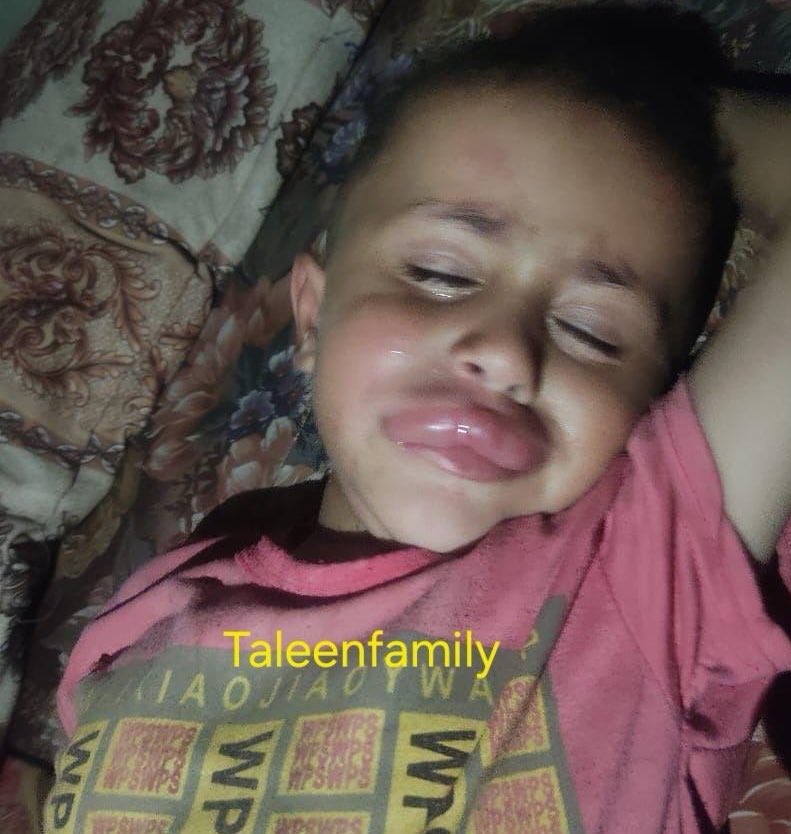 Taleen Family 🍉 tweet media