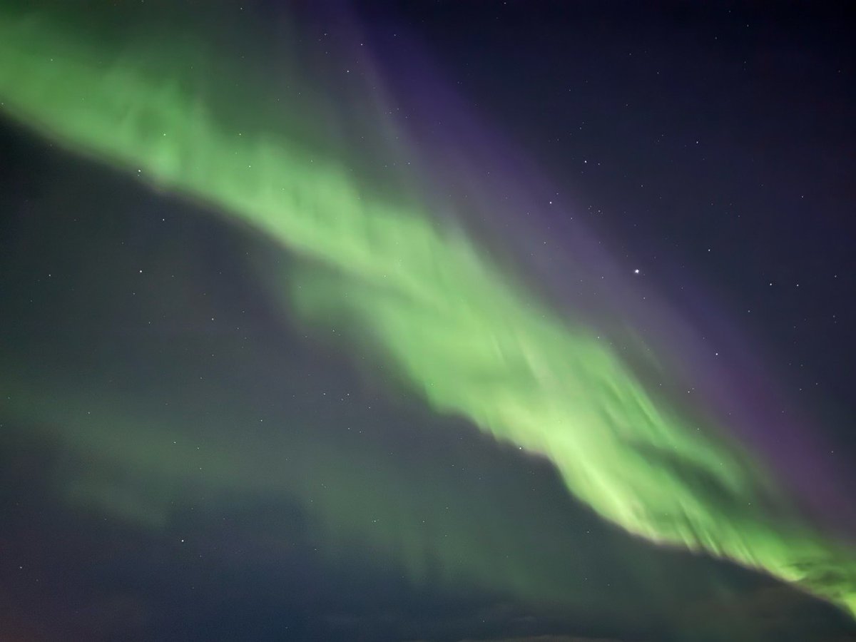 BusTravel Iceland tweet media