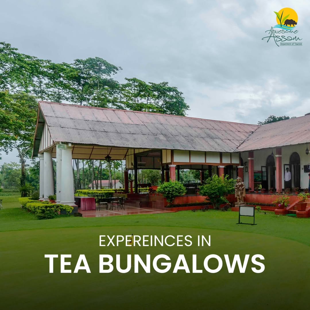 Awesome Assam tweet media