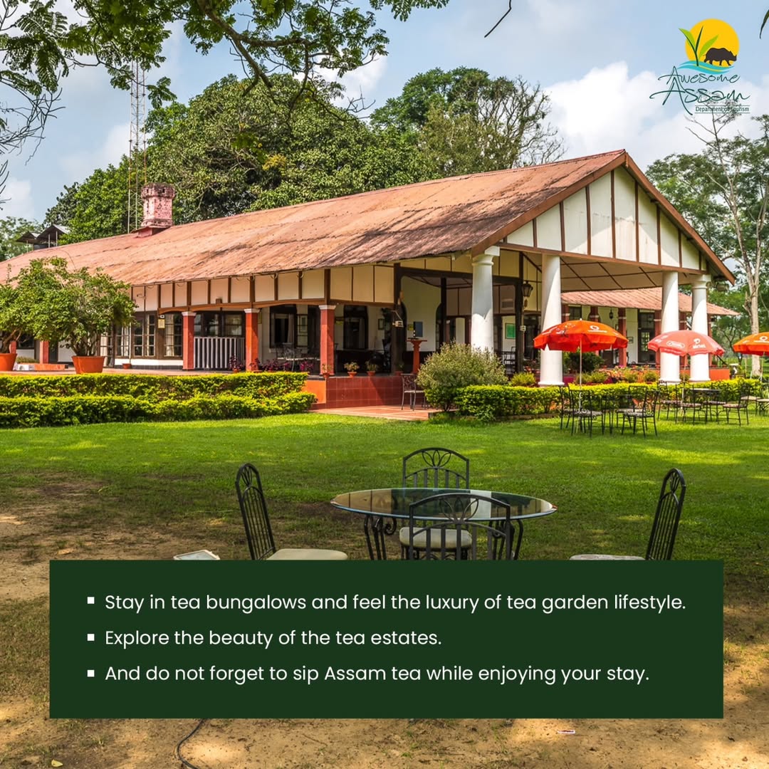 Awesome Assam tweet media