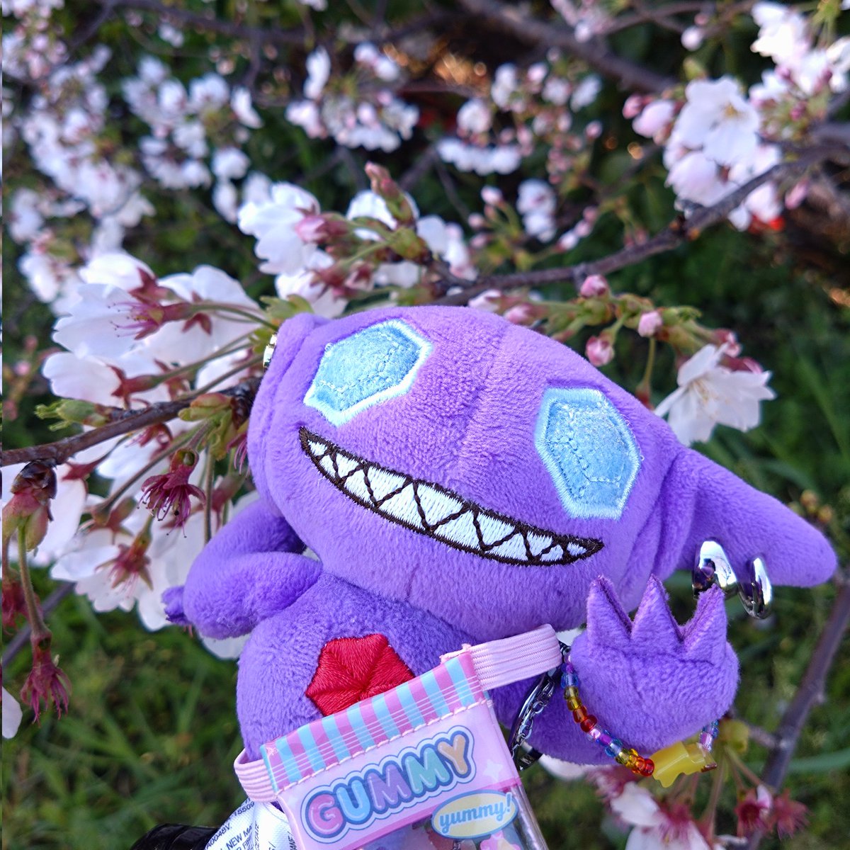 敦吉(ポケモン用) tweet media