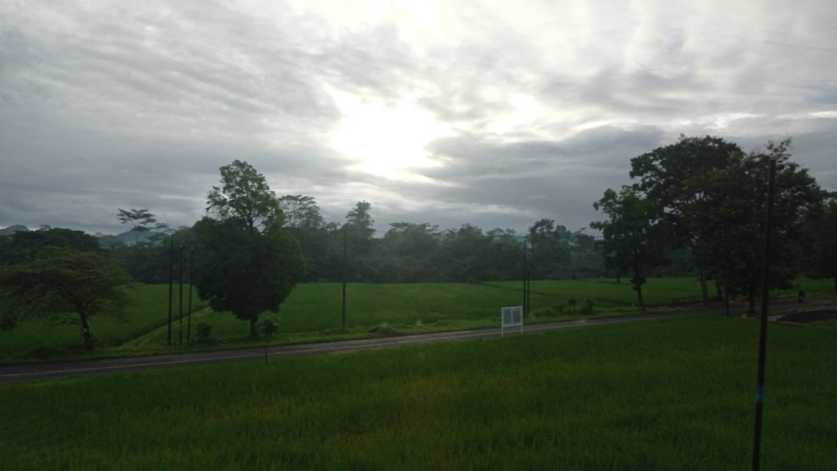 Acc Pending tweet media