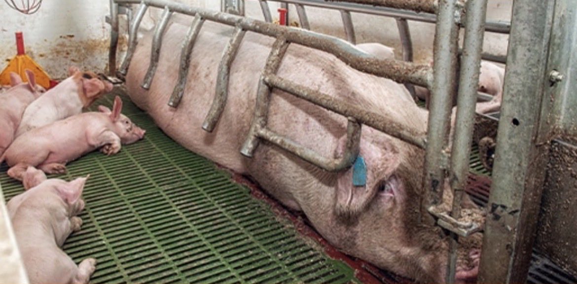 NothingIsArt tweet media