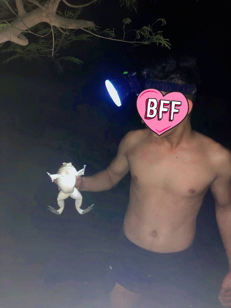 anavin_van46988 tweet media