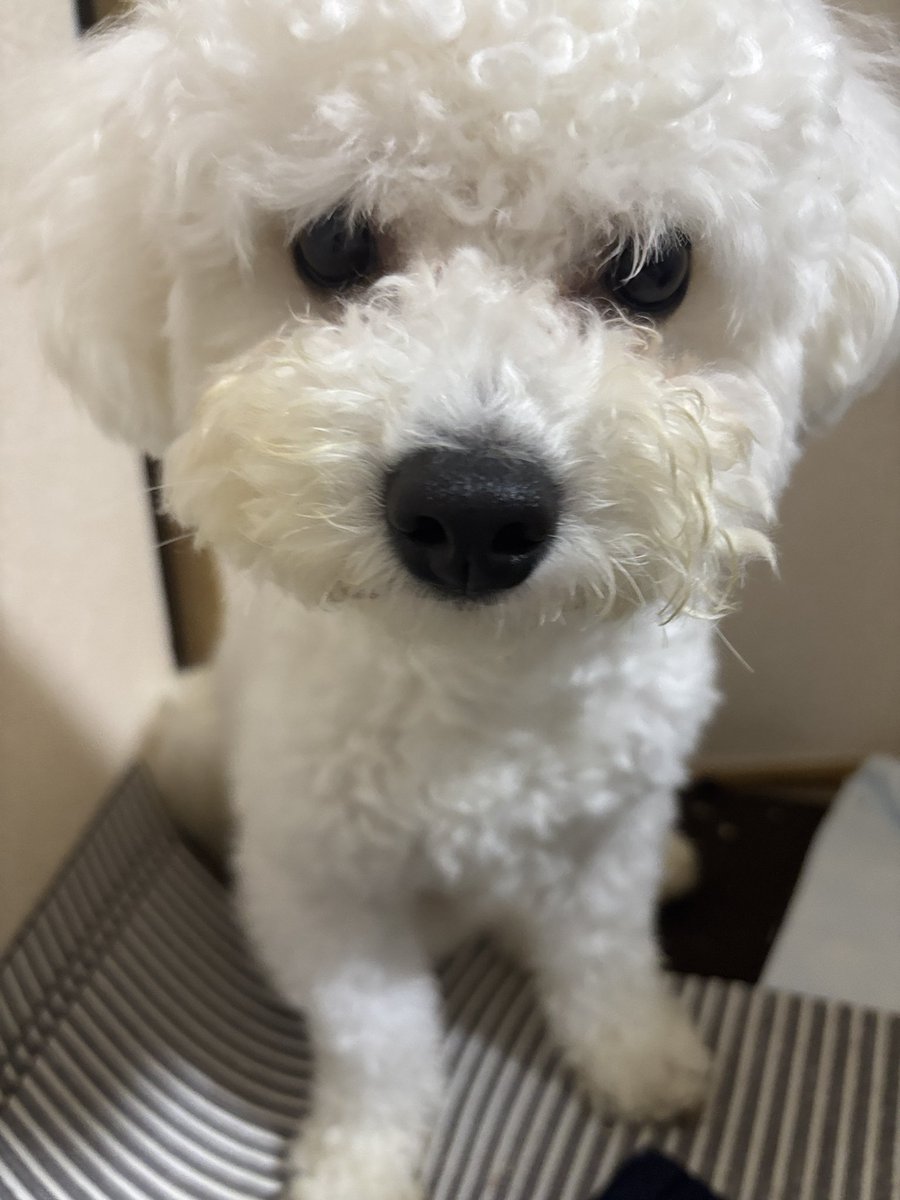 sskkrs's tweet photo. @awominohimitsu https://t.co/vJmGVOIfAS