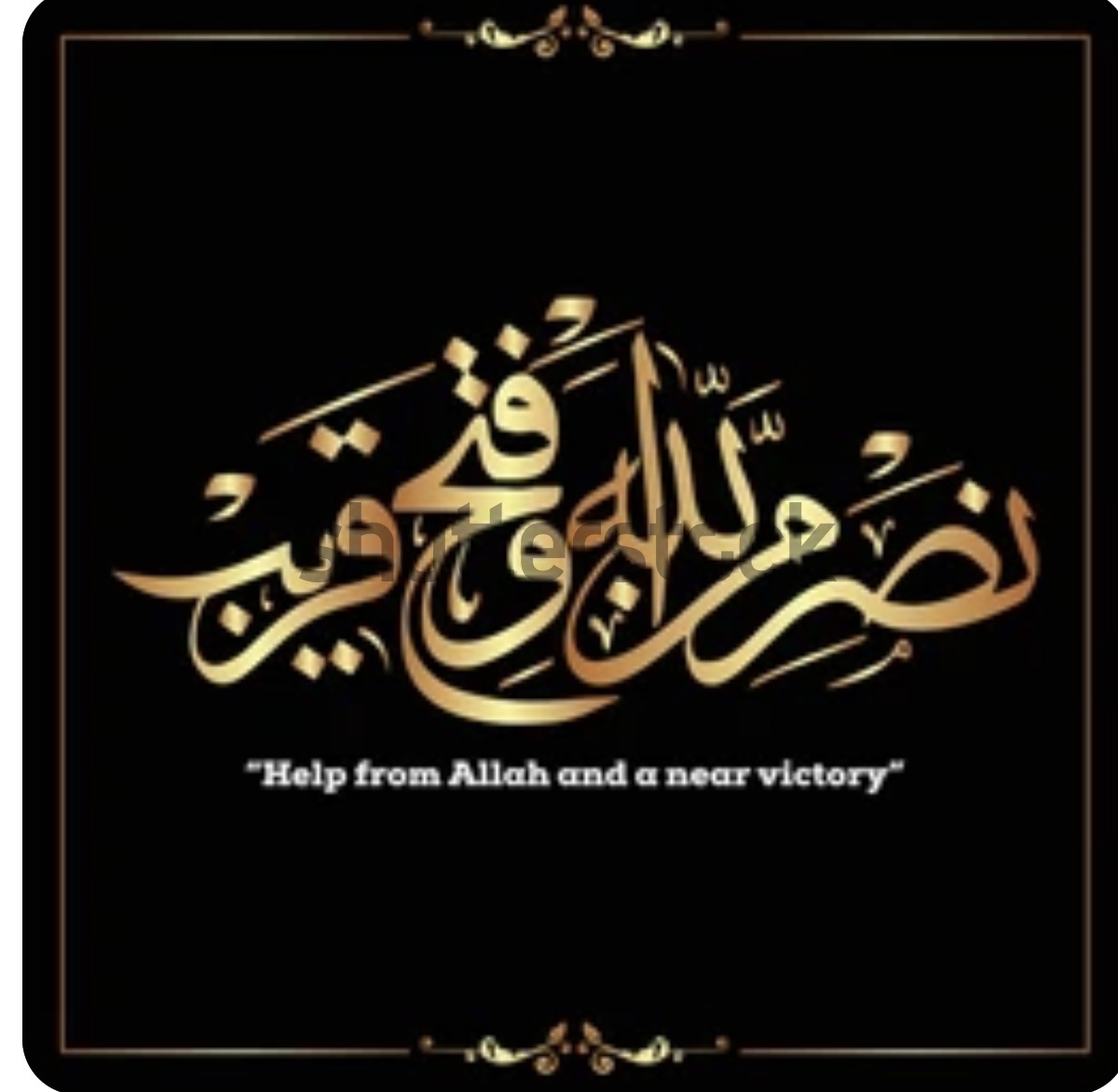Syedabibi011's tweet photo. https://t.co/nOZA9NWBMC