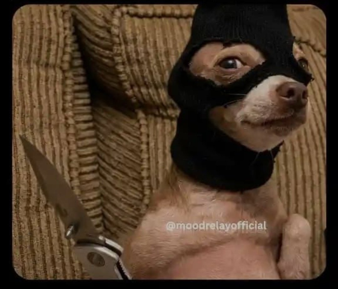 Glen ♤ tweet media