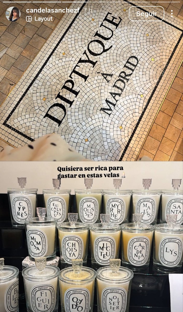 LaBibbis tweet media