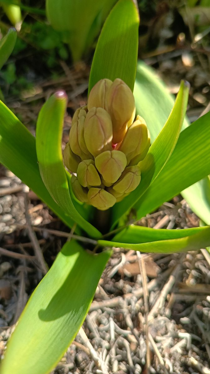 Grzesiek Gałka tweet media