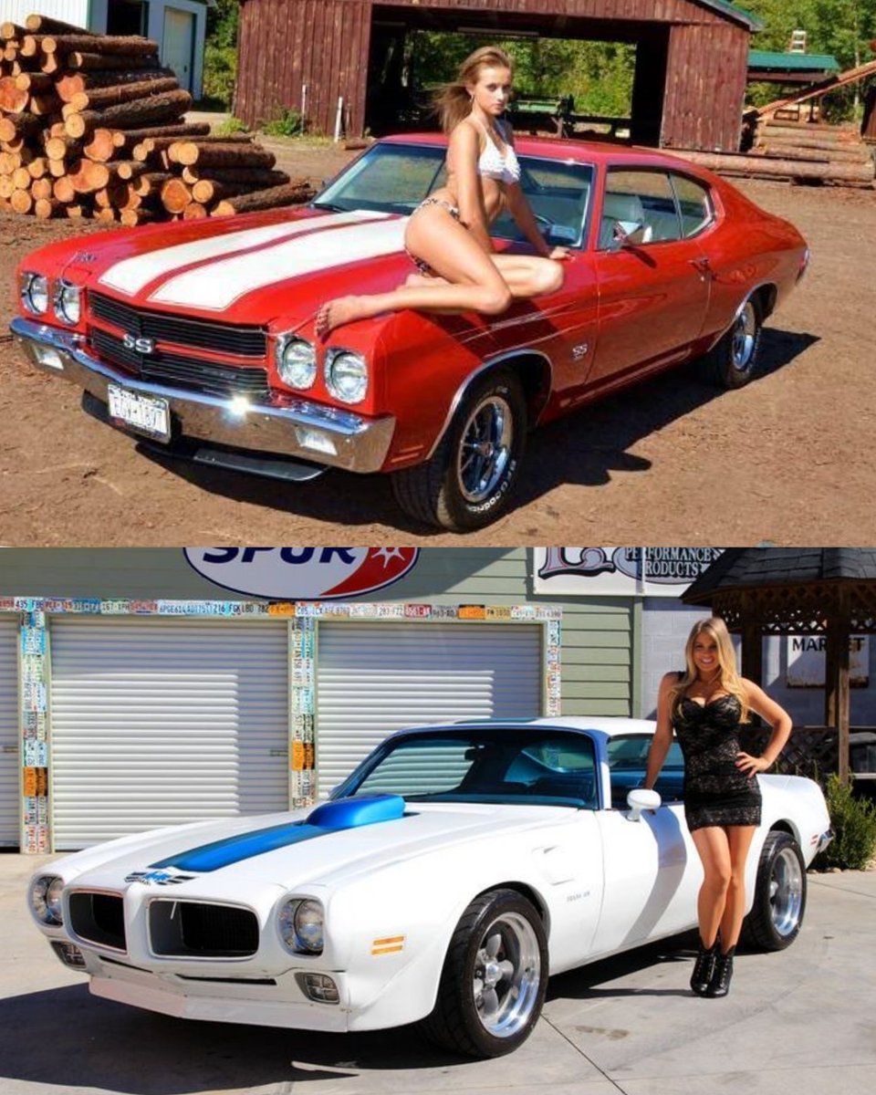 Vintage Cars Collection tweet media