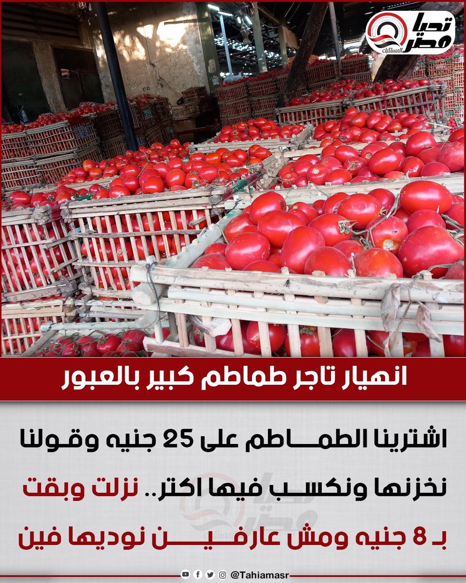 Shong, memes QUEEN👑🤡 tweet media