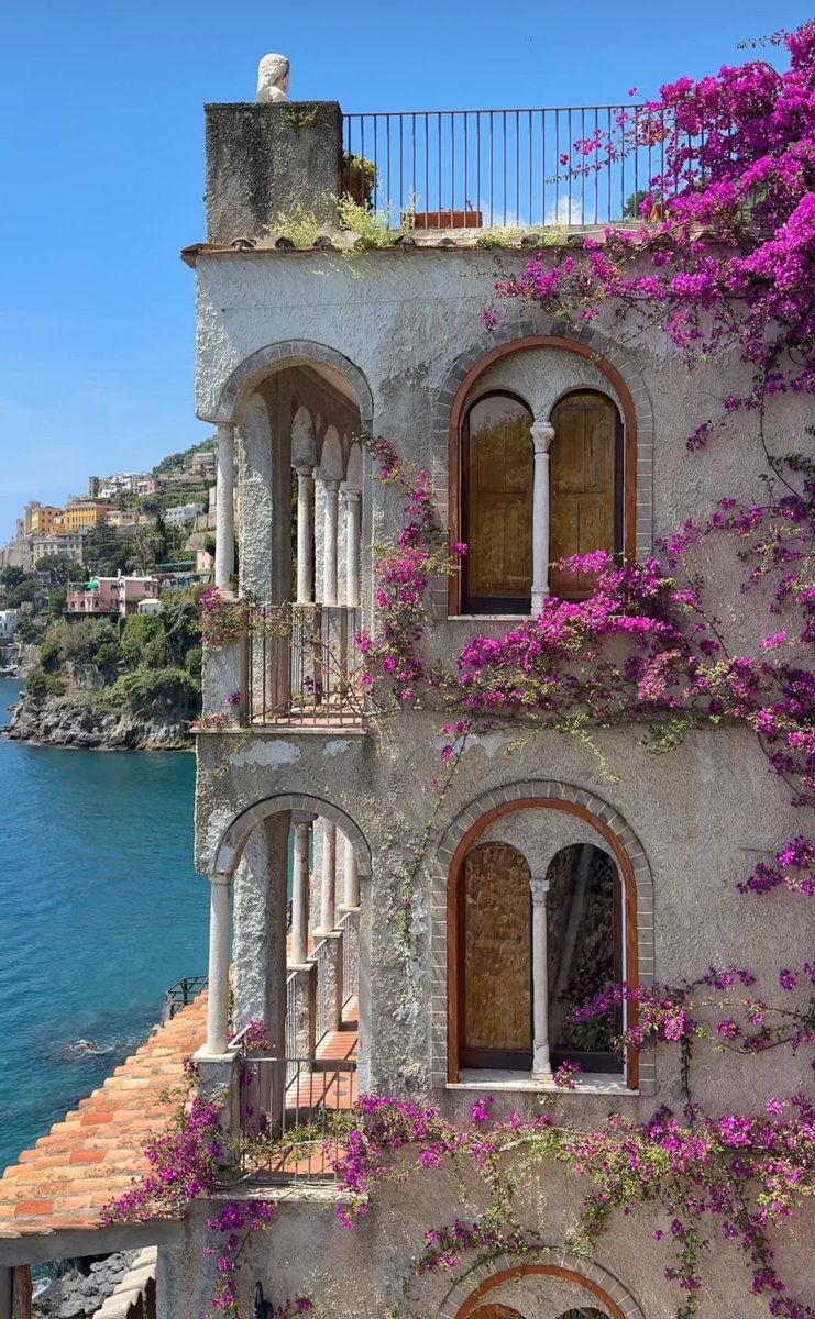 vistaaura tweet media