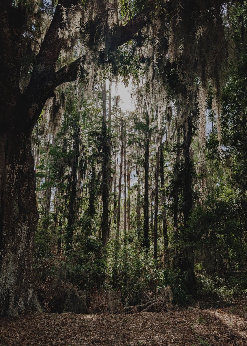 grayson ⭐ tweet media